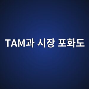 기업의 성장을 가로막는 보이지 않는 한계: TAM과 시장 포화도 1 tameab3bc ec8b9cec9ea5 ed8faced9994eb8f84 1787058440